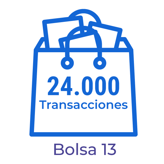 B14. Bolsa con 24.000 transacciones para el procesamiento de documentos electrónicos.
