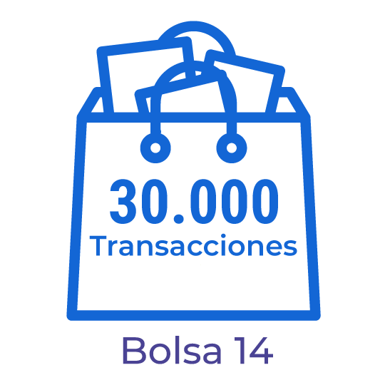 B15. Bolsa con 30.000 transacciones para el procesamiento de documentos electrónicos.