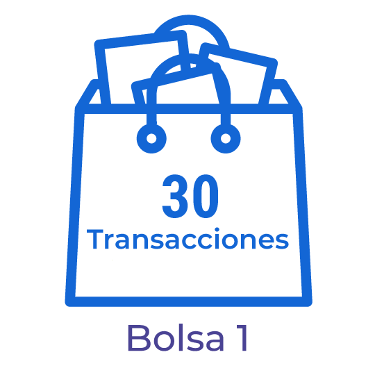 Bolsa con 30 transacciones para el procesamiento de documentos electrónicos.